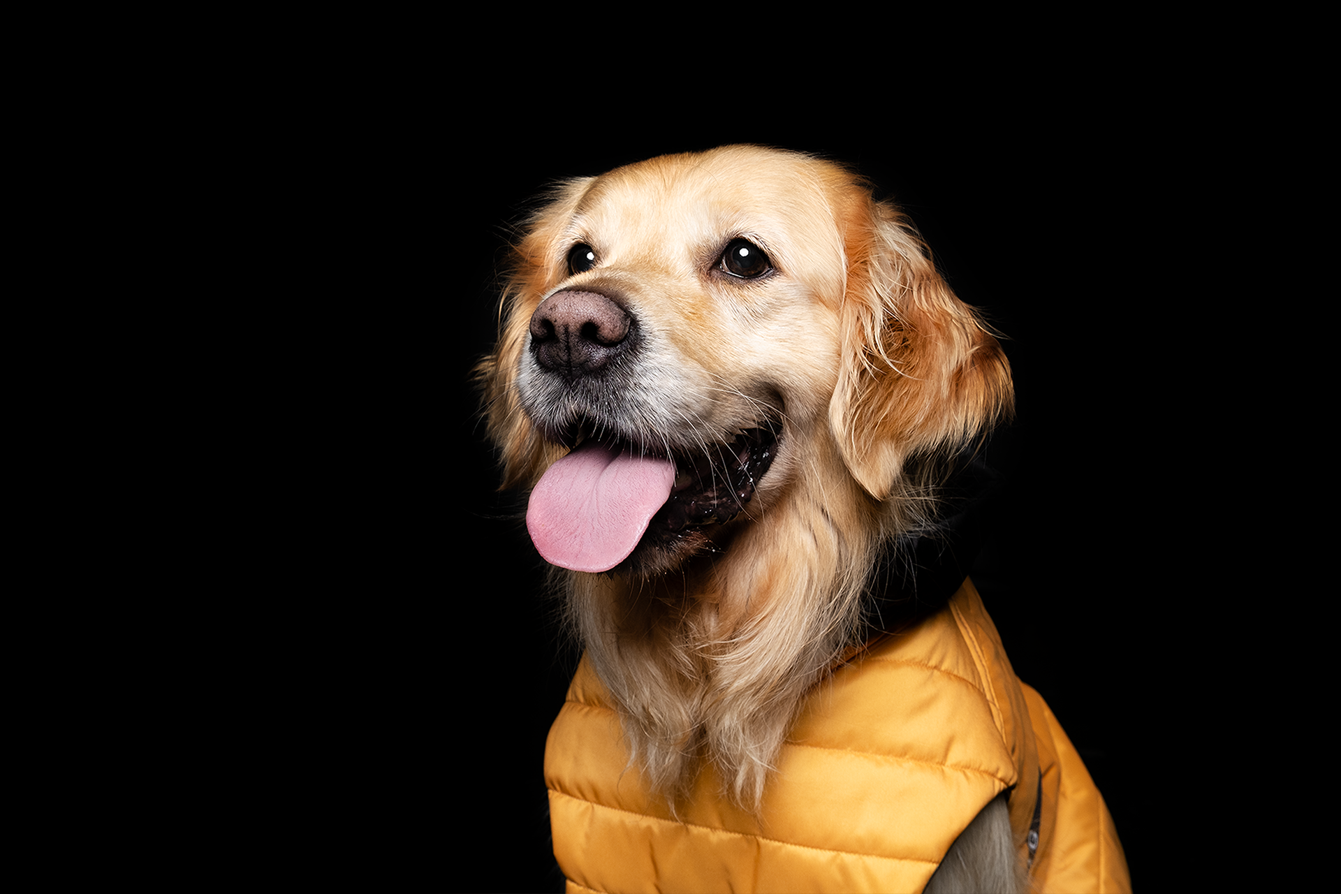 PADDED RAINCOAT