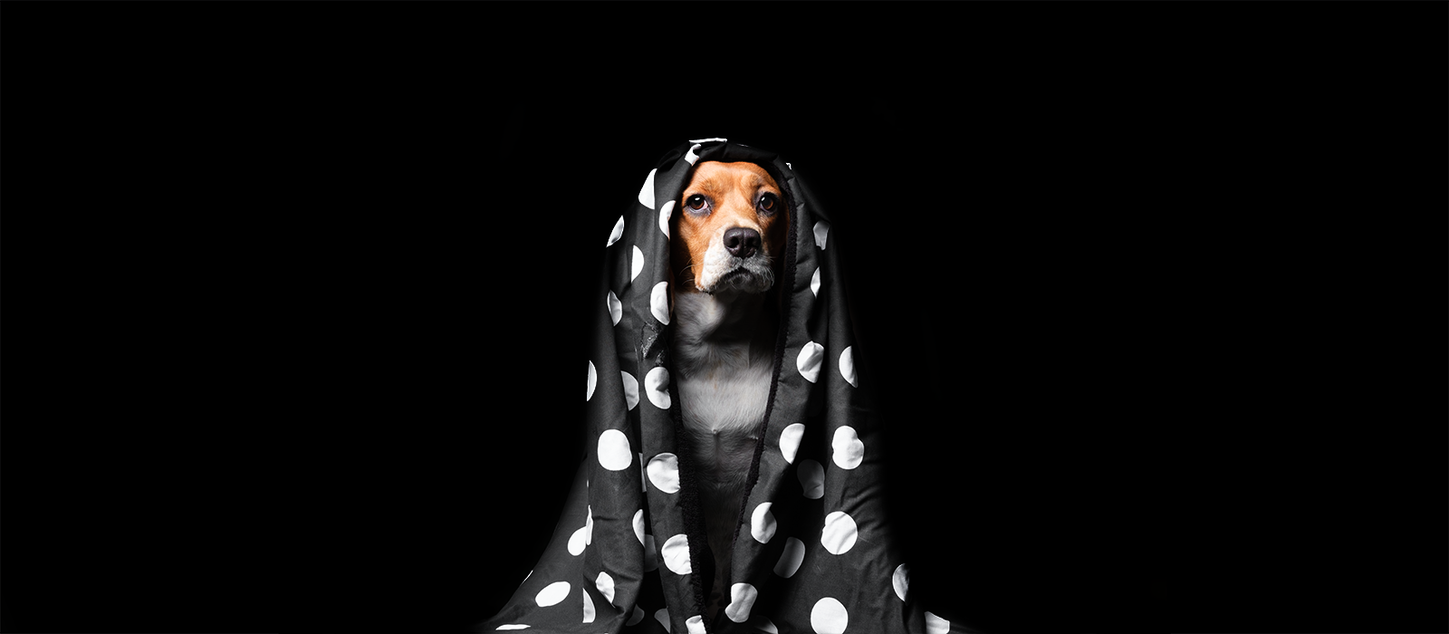 BLANKETS