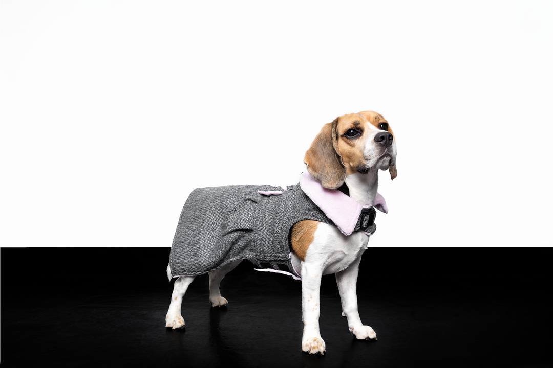 Tweed Jacket