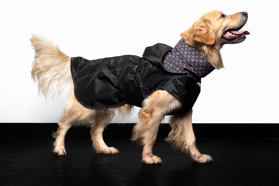 Raincoat turtle neck