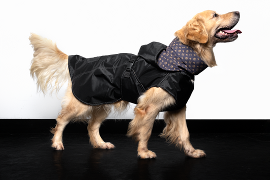 Raincoat turtle neck