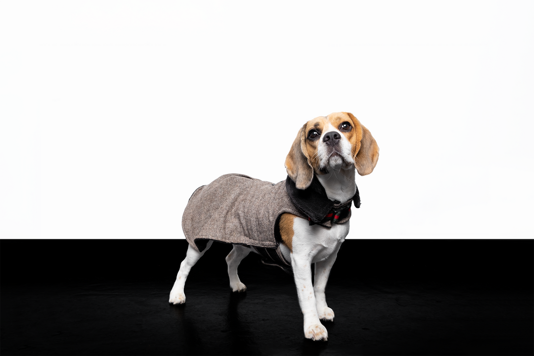 Tweed Jacket