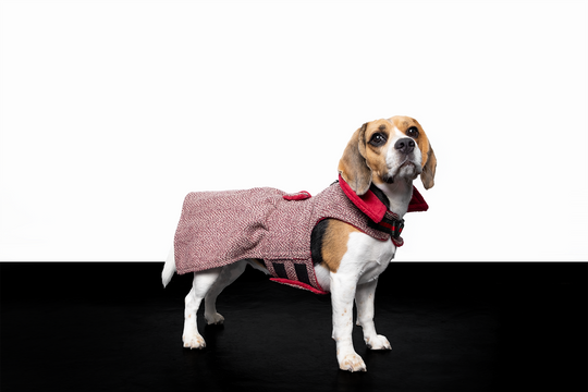 Tweed Jacket