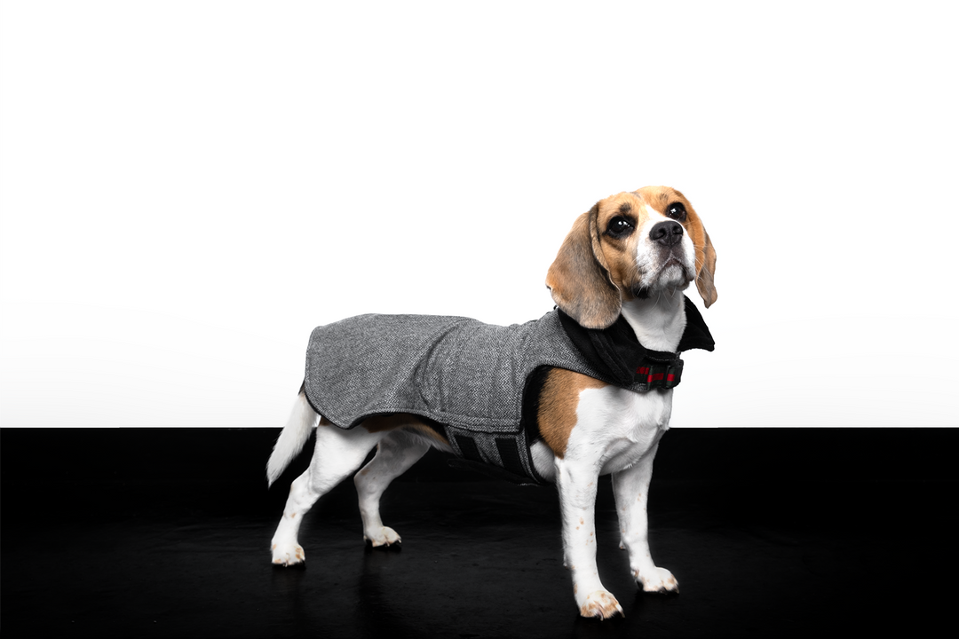 Tweed Jacket