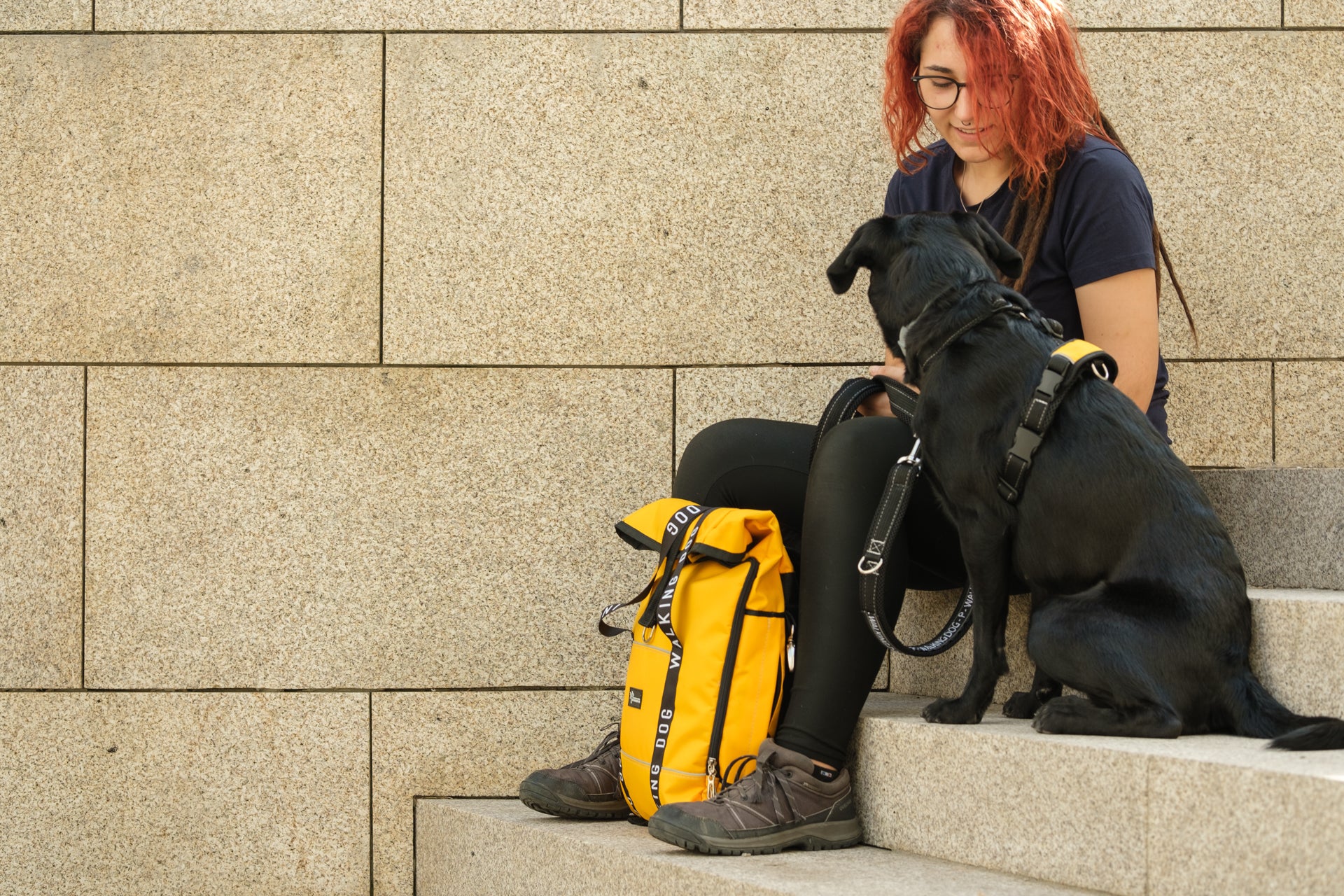 Dog Backpack for Humans Walking Dog