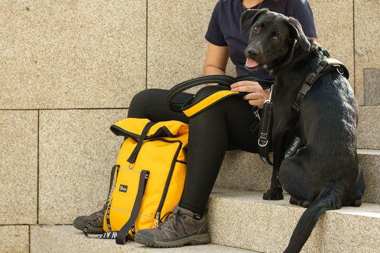 Dog Backpack for Humans