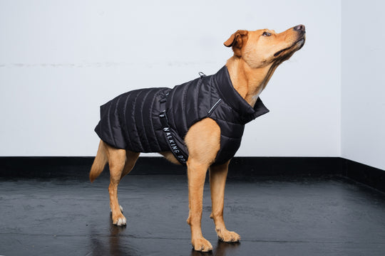 Sustainable Padded Raincoat made from recycled plastic