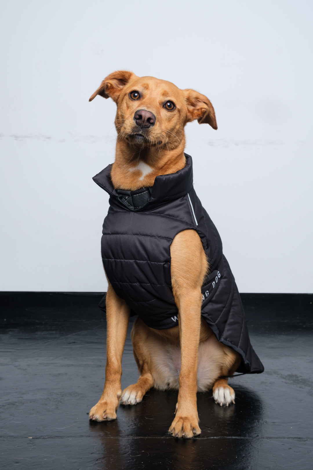 Sustainable Padded Raincoat made from recycled plastic