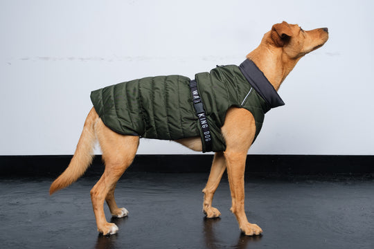 Sustainable Padded Raincoat made from recycled plastic