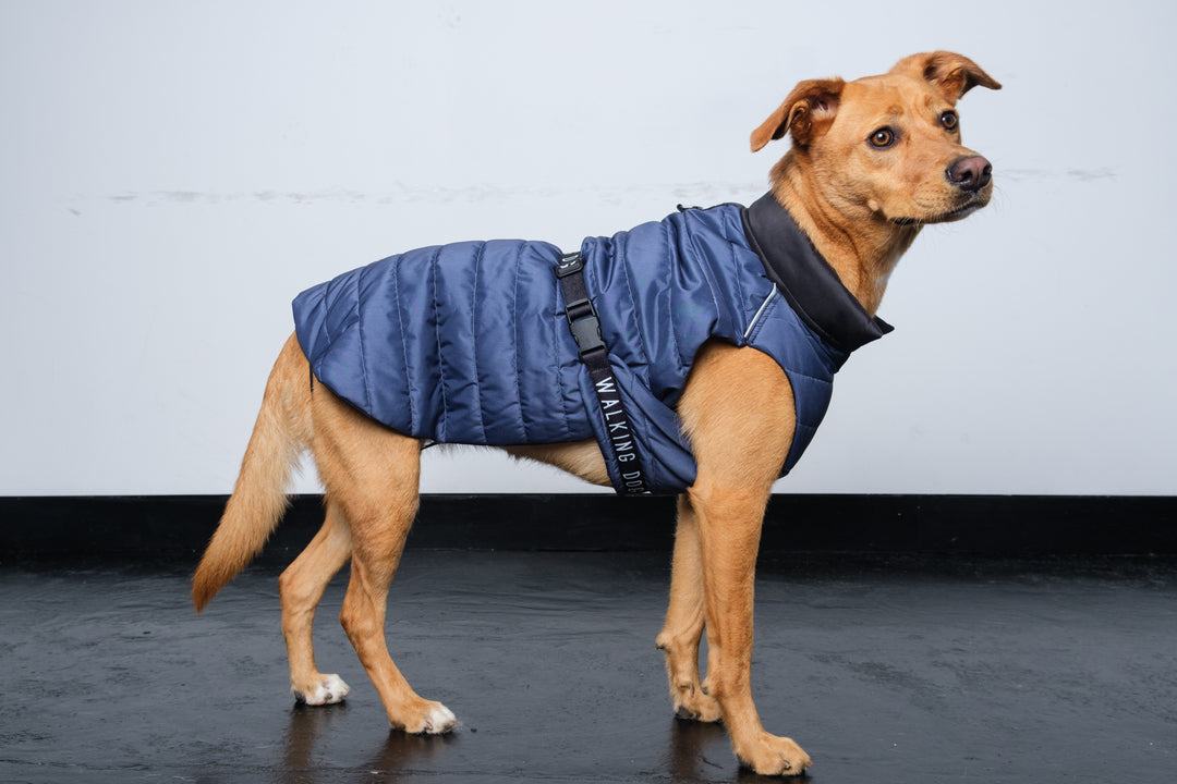 Sustainable Padded Raincoat made from recycled plastic