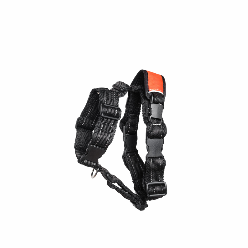 #orange-p