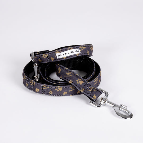 Fashion Leash for Small Dogs