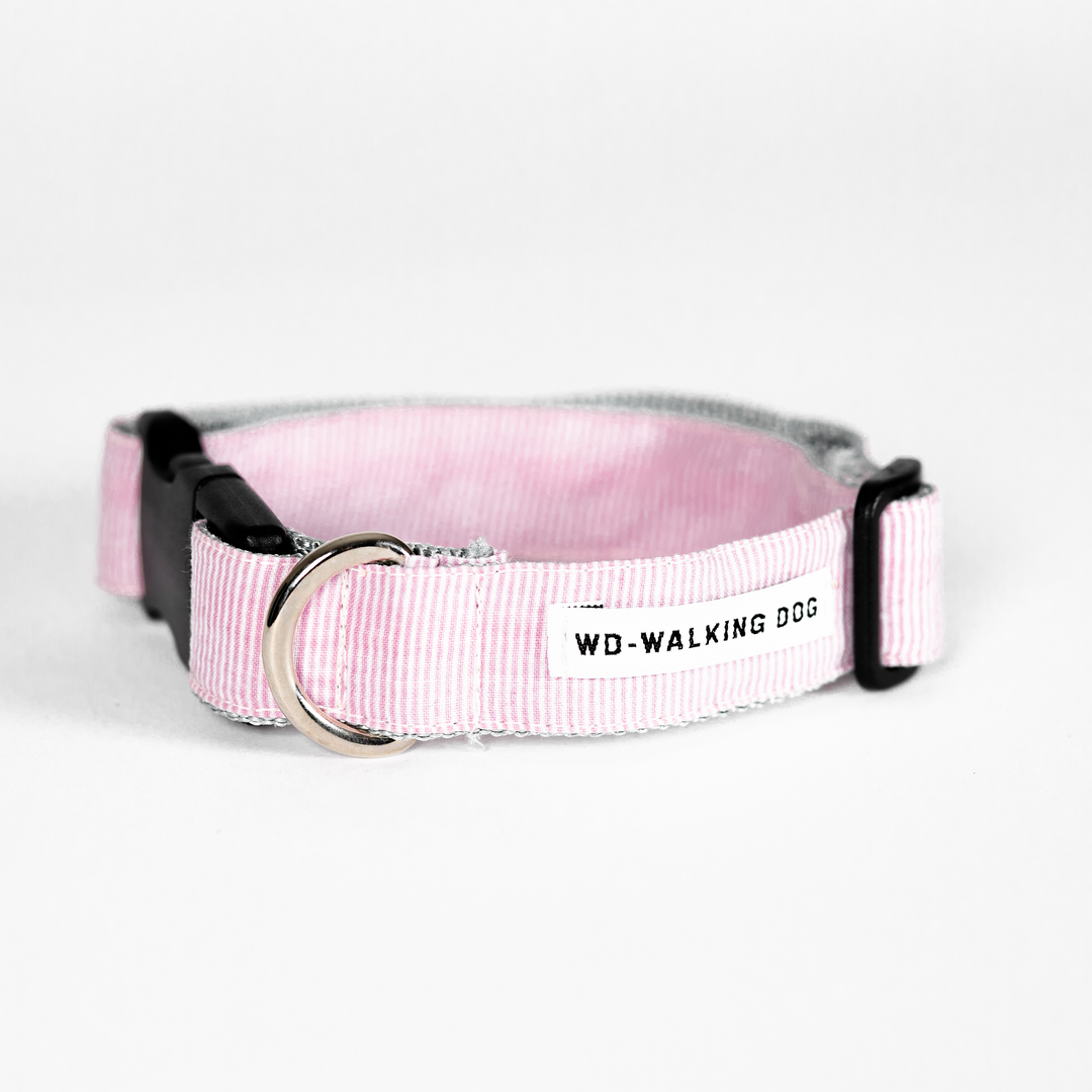 Fashion Collars & Bows for Small Dogs