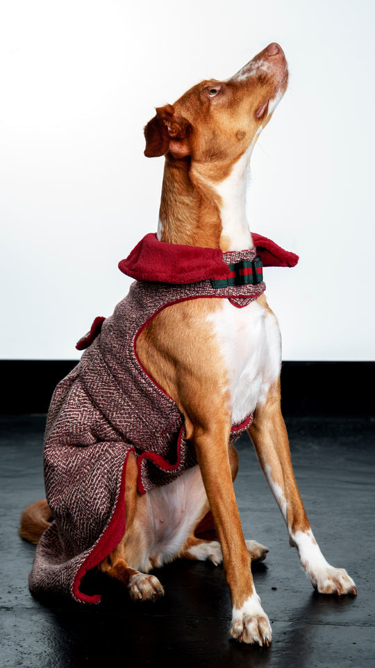 Tweed Jacket
