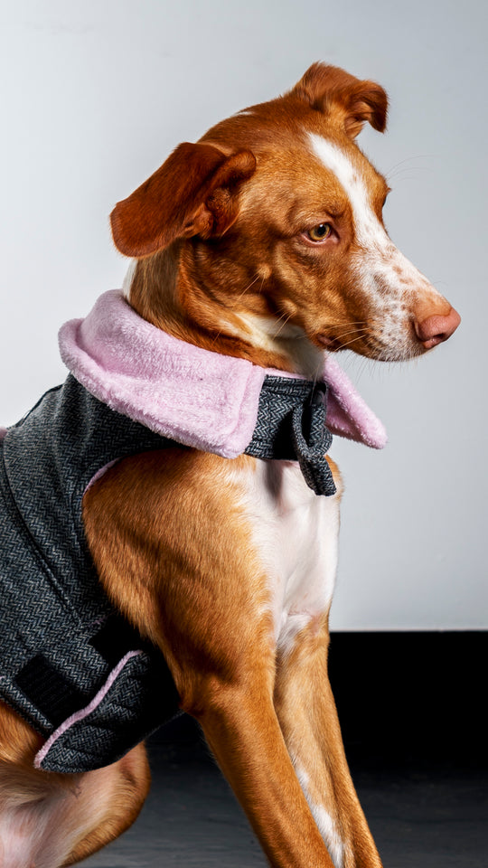 Tweed Jacket