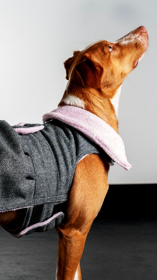Tweed Jacket
