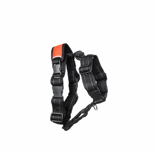 Premium Y-Shaped No-Pull Harness