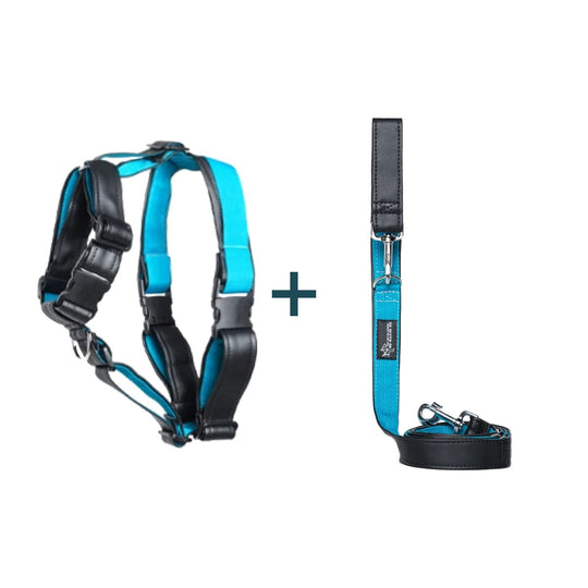 Pack Active Dog Arnês + Trela