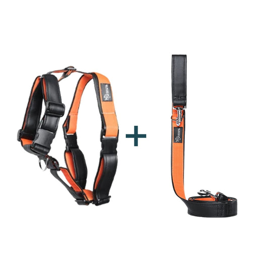 Pack Active Dog Arnês + Trela