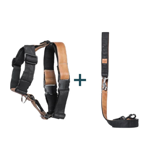 Pack Cork Arnês + Trela