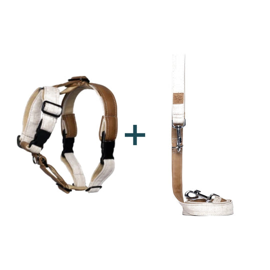 Pack Cork Arnês + Trela