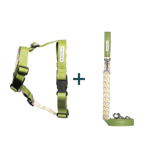 Pack Soft Vegan Arnês + Trela