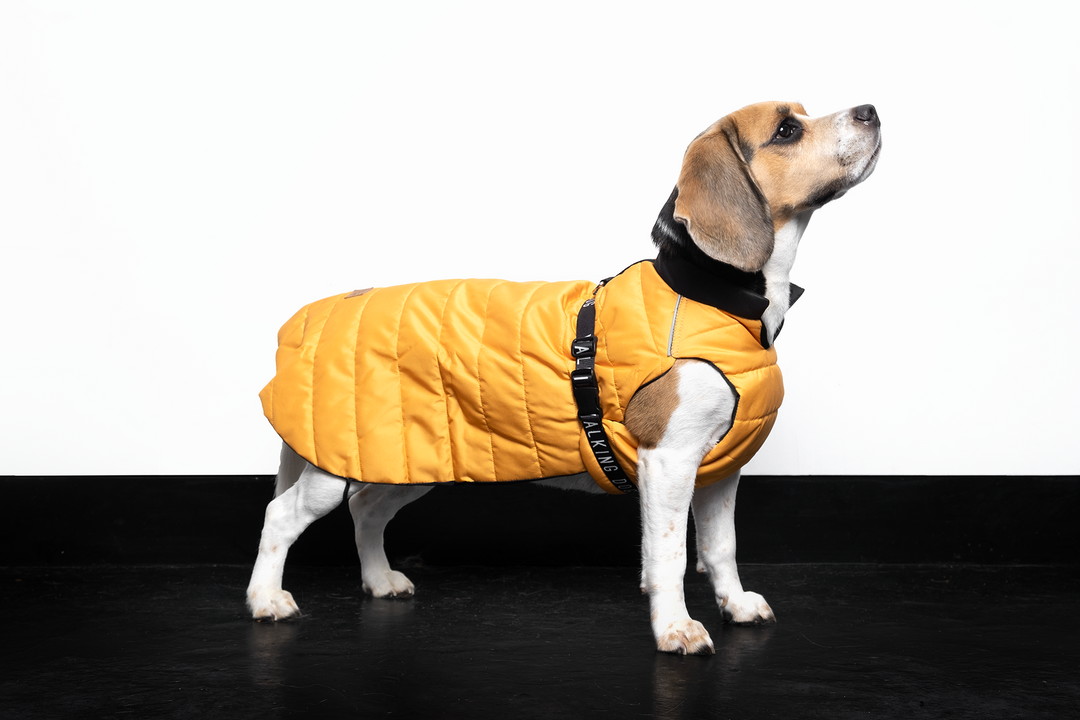 Sustainable Padded Raincoat made from recycled plastic