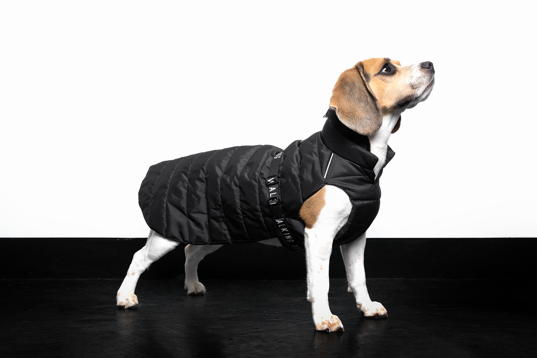 Sustainable Padded Raincoat made from recycled plastic