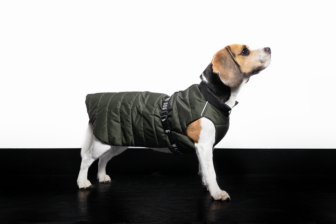 Sustainable Padded Raincoat made from recycled plastic