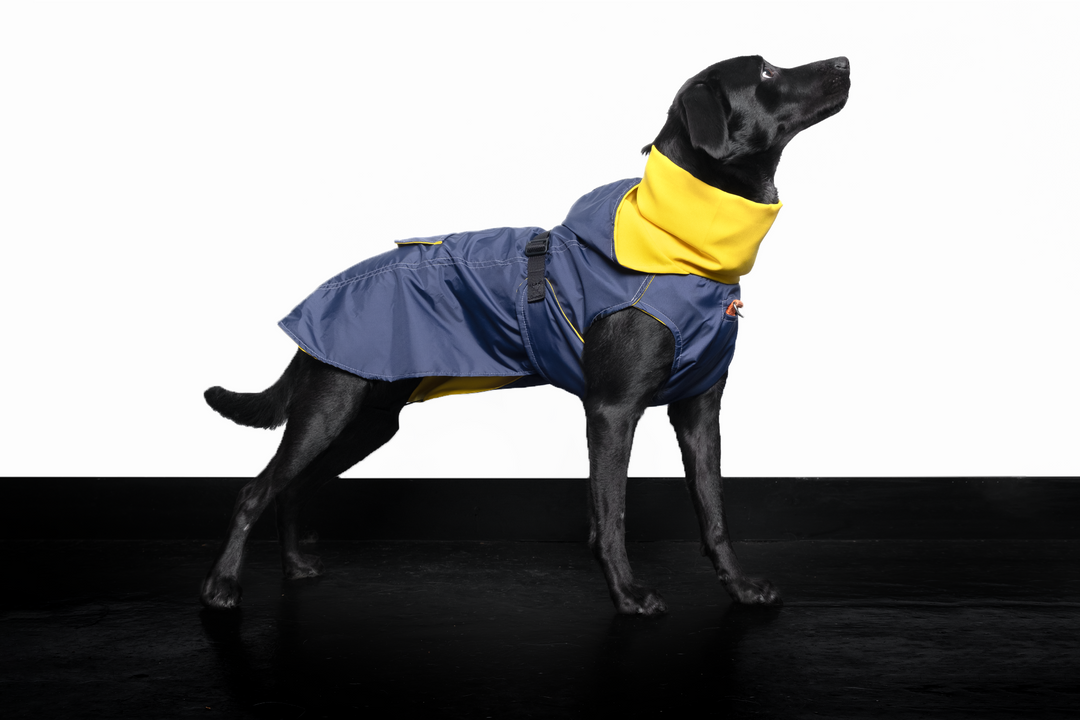 Raincoat turtle neck