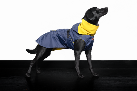 Raincoat turtle neck