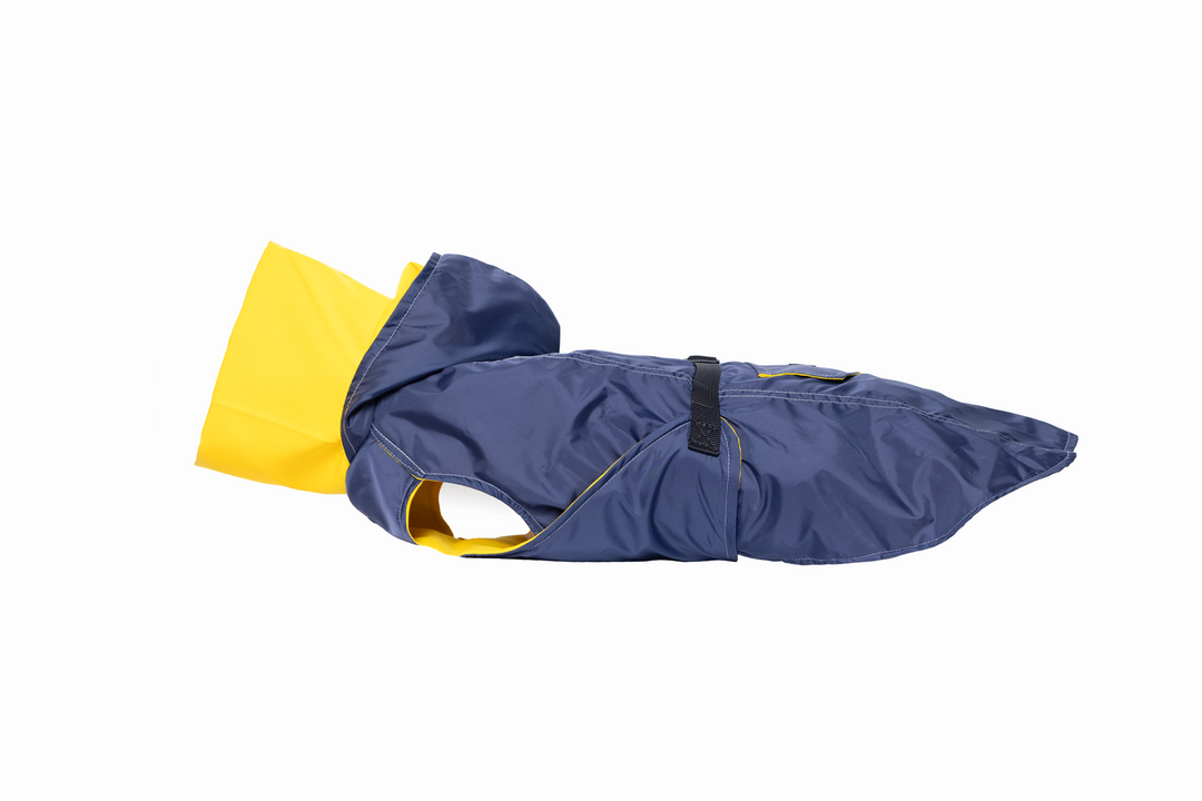 Raincoat turtle neck
