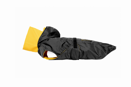 Raincoat turtle neck