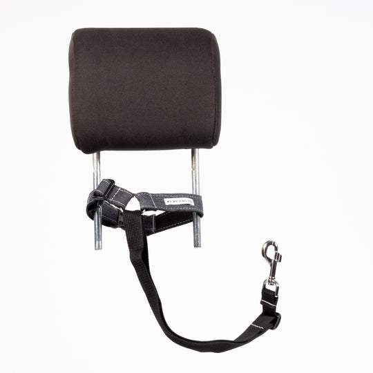 Car Safety Belt for Dogs