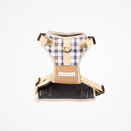 #square blue