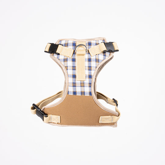 #square blue
